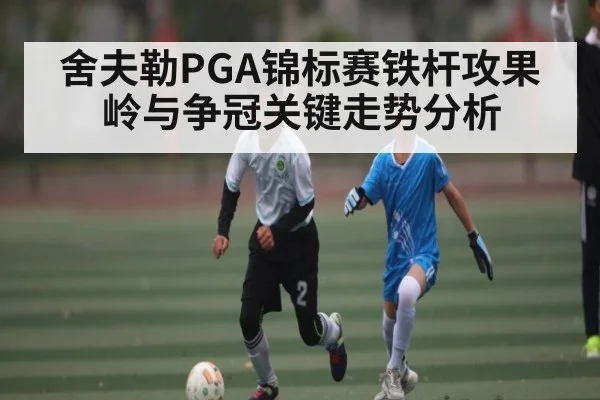 舍夫勒PGA锦标赛铁杆攻果岭与争冠关键走势分析